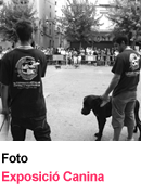 Foto Exposici� Canina